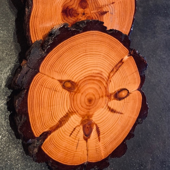 Set of 4 wooden Cypress coasters - Picture 2 of 9